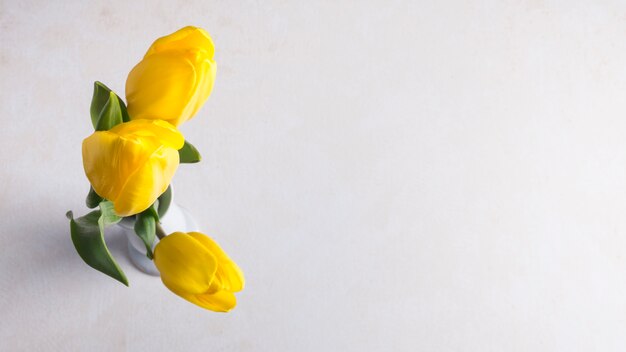 Yellow tulips in vase on grey table
