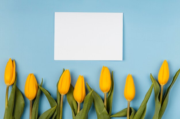 Yellow tulips with blank card