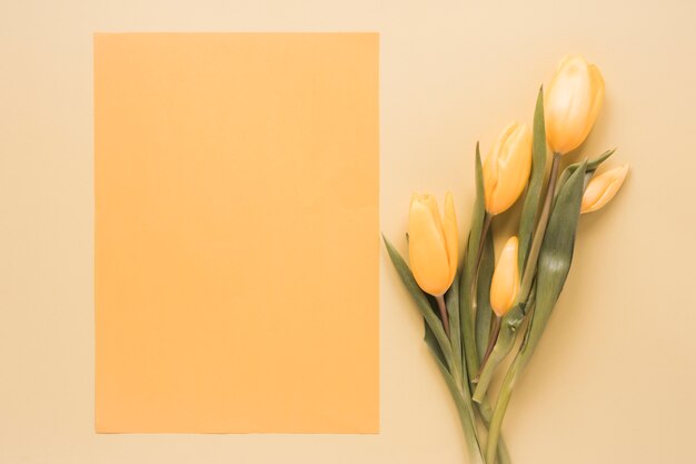 Yellow tulips with blank paper on table