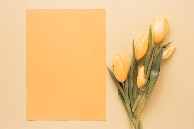 yellow tulips with blank paper on table