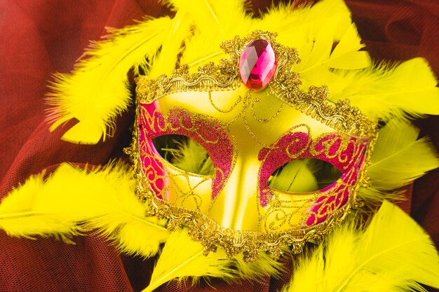 Yellow venetian mask on yellow feathers