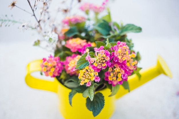 Yellow watering can with decorative flowers