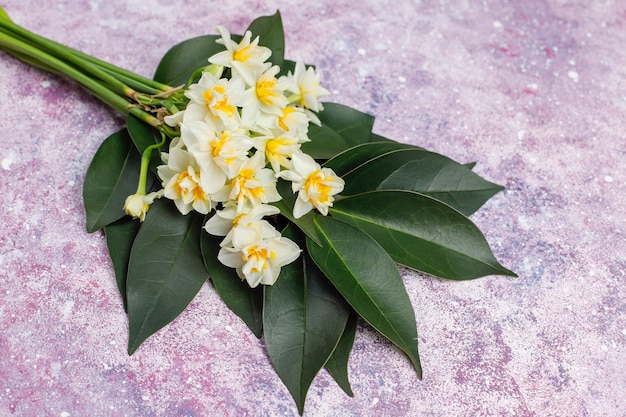 黄色の白い水仙、水仙、明るい背景にジョンキル花。3月8日女性の日。