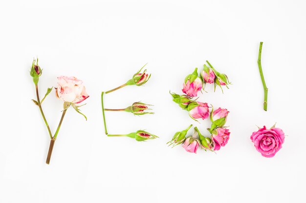 Yes text made with stem and roses on white background