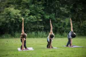 Free photo yoga action exercise healthy in the park