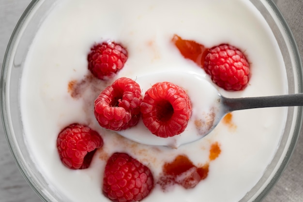 Yogurt with raspberries bowl top view