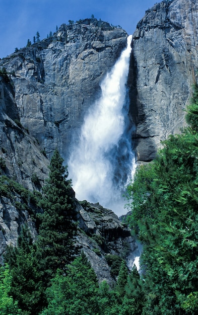 Foto gratuita yosemite falls; parco nazionale yosemite