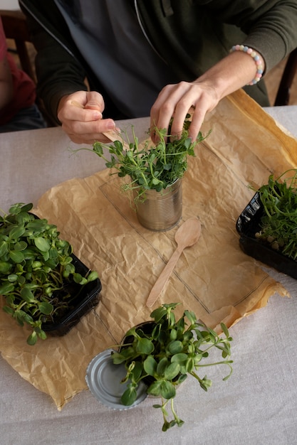 Young adult reusing cans for planting