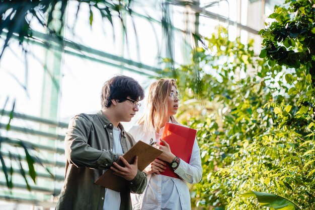 Young agricultural engineers working in greenhouse