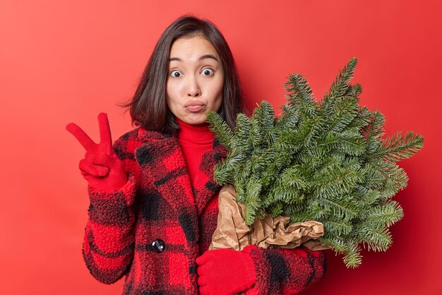 Young Asian woman with folded lips dressed in winter coat makes peace gesture holds spruce branches for decoration isolated over red background prepares for New Year holidays. Time to decorate house