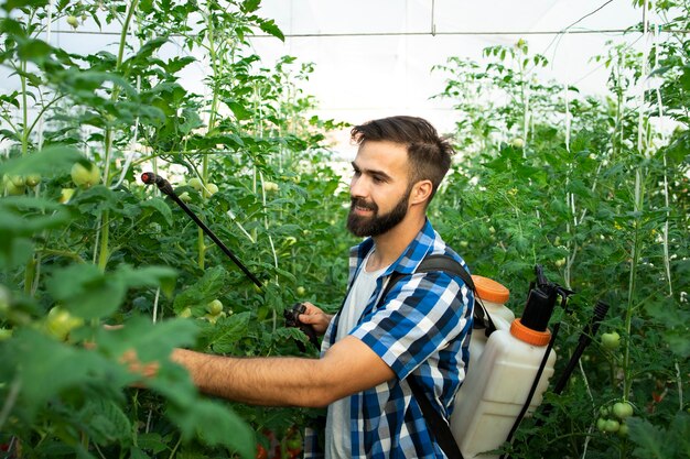 病気から保護するために農薬を植物に噴霧する若いひげを生やした農民労働者