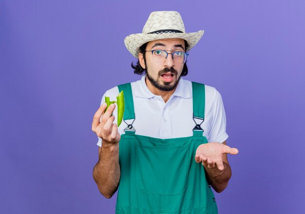 Young bearded gardener man wearing jumpsuit and hat holding halves of green hot chili pepper looking at front with arm out being confused standing over blue wall