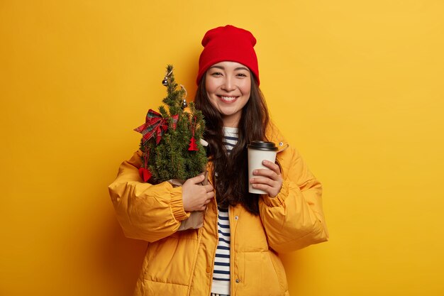 Young beautiful woman holding Christmas decorations