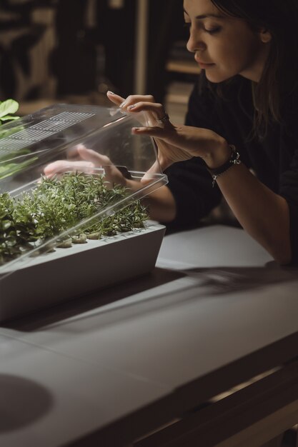 Exploring Sustainable Materials in Plastic Window Manufacturing