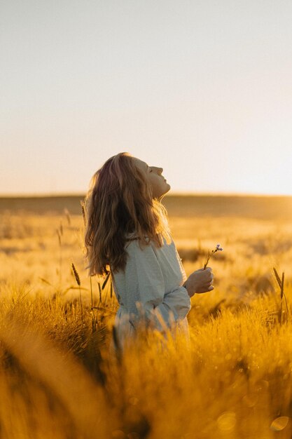 日の出の早朝の麦畑で白いドレスを着た長いブロンドの髪を持つ若い美しい女性。夏は夢想家、空飛ぶ髪、光線の中でフィールドを横切って走っている女性のための時間です