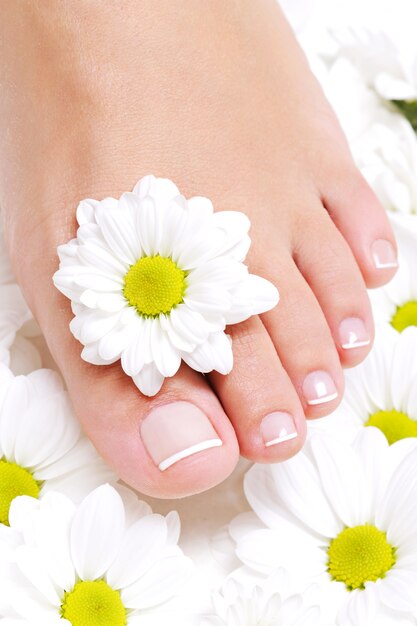 Young beauty pure female foot with camomile's flower around it