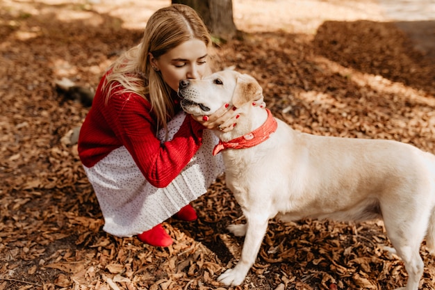 優しく愛らしい犬にキスする若いブロンドの女性。落ち葉の間に座っている彼女のペットと素敵な女の子。