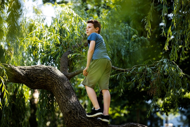 Young boy having fun in the playground