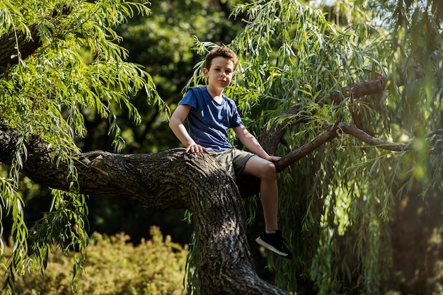 Young boy having fun in the playground