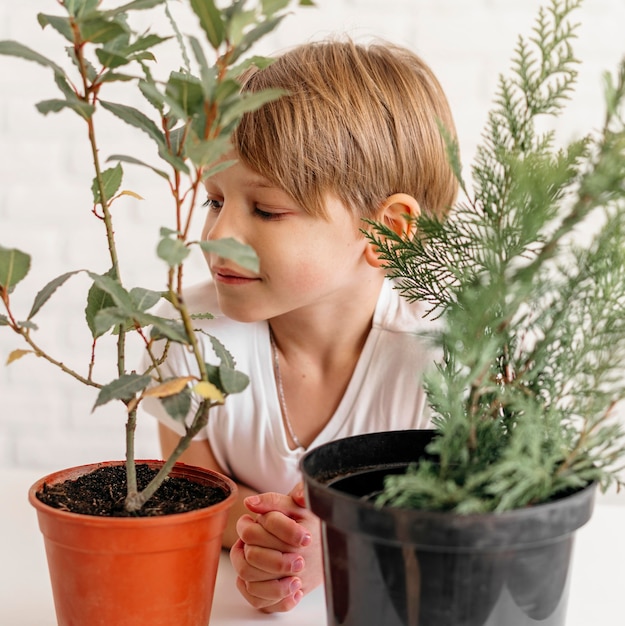 植物と2つのポットを見ている少年