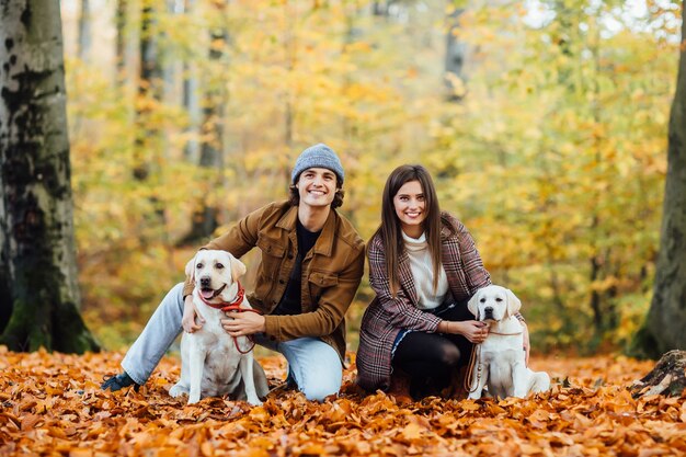 A young couple and their two golden labrador are walking in the autumn park