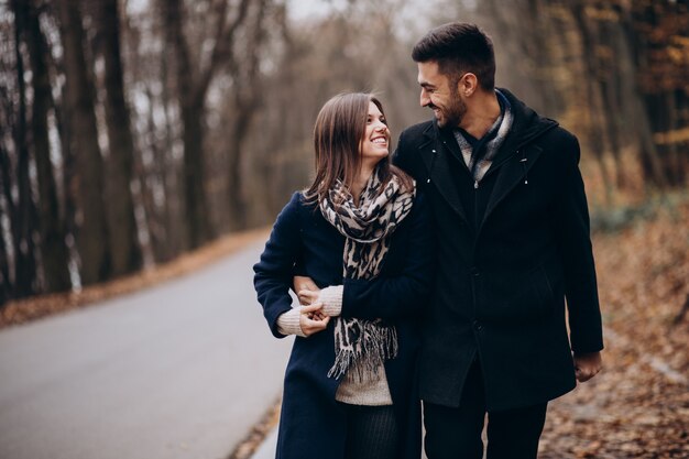 Young couple together walking in an autumn park