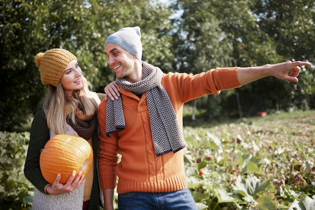 Young couple walking in the fiel with ripe pumpkin