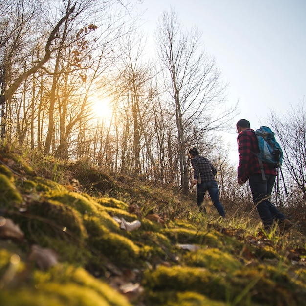 Free photo young couple walking in the forest