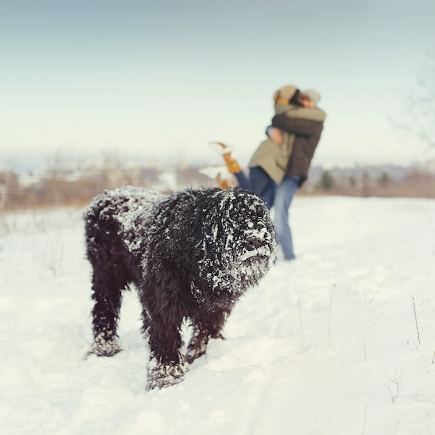 Young couple walking with a dog in a winter day