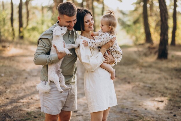 Young family with cute little daughter walking in forest on the sunset