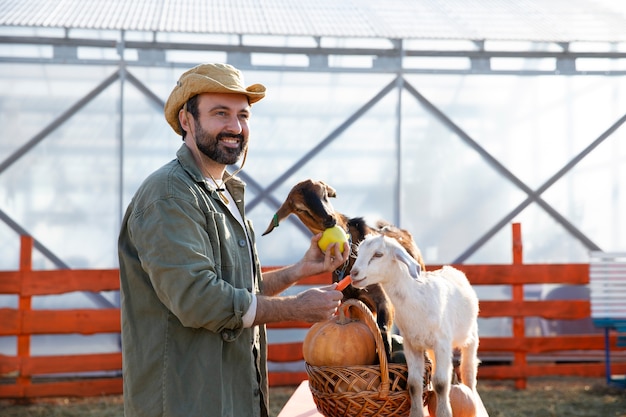 Young farmer feeding his goats vegetables at the farm