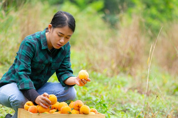 Молодой фермер держит персики