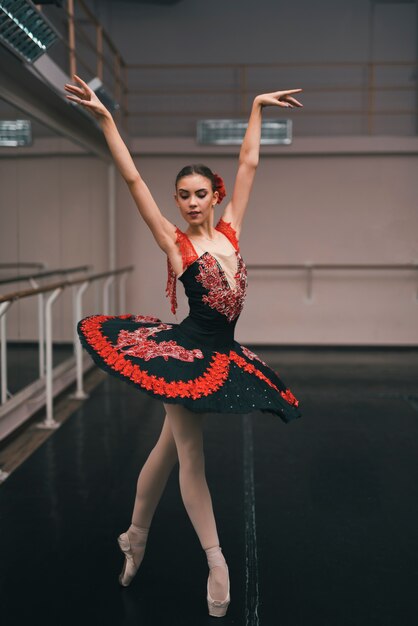 Young female dancer of classic ballet practising in the dance studio