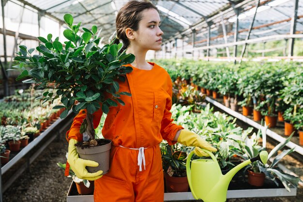 Young female gardener holding potted plant and watering can in greenhouse