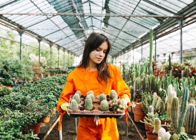 Young female gardener holding succulent plants in greenhouse