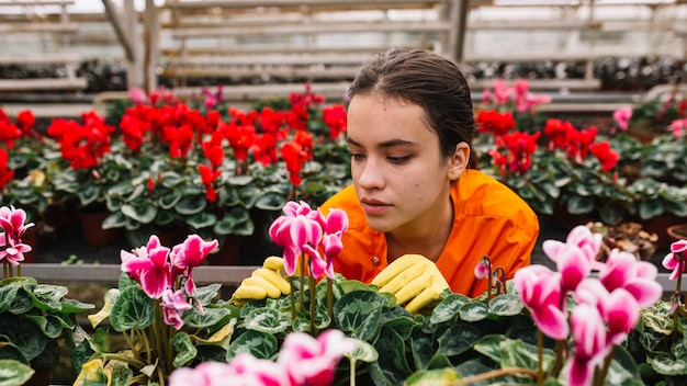 Foto gratuita giovane giardiniere femminile che esamina il vaso di fiore rosa