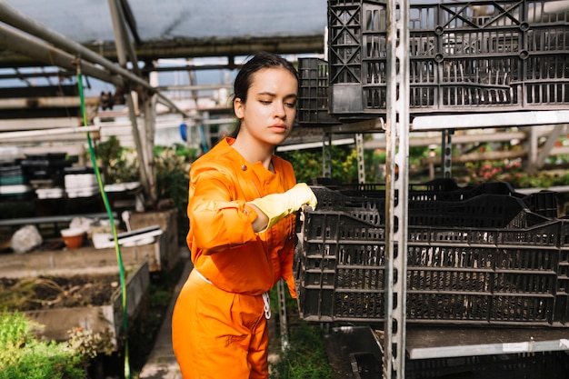 Young female gardener removing crate from rack