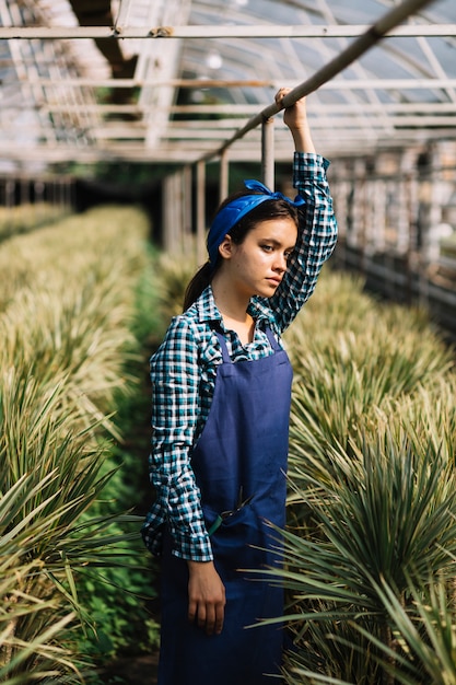 Free photo young female gardener standing in greenhouse