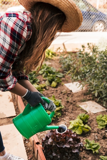 Young female gardener watering the plants in the garden