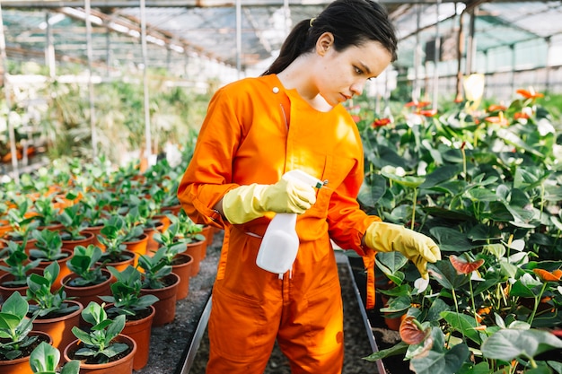 Young female gardener with spray bottle examining plant in greenhouse