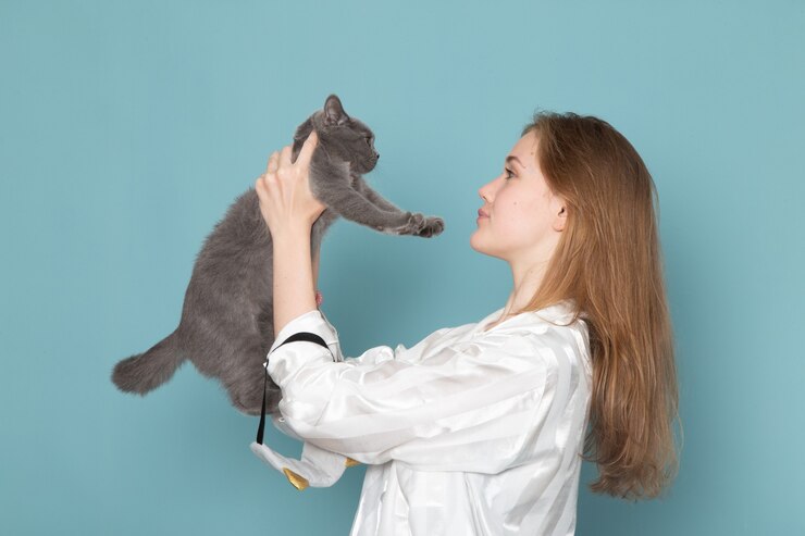 Как ухаживать за котом после операции кастрации?
