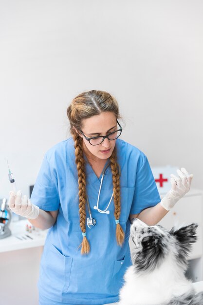 Young female vet looking at dog in clinic