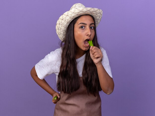 Young gardener girl in apron and summer hat holding green chili pepper  going to bite it standing over purple wall