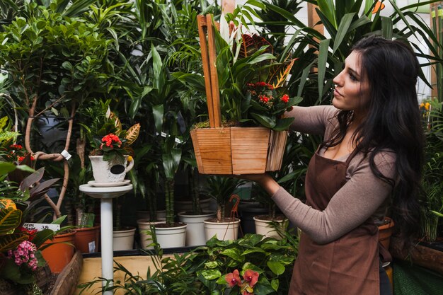 Young gardener looking at potted plant