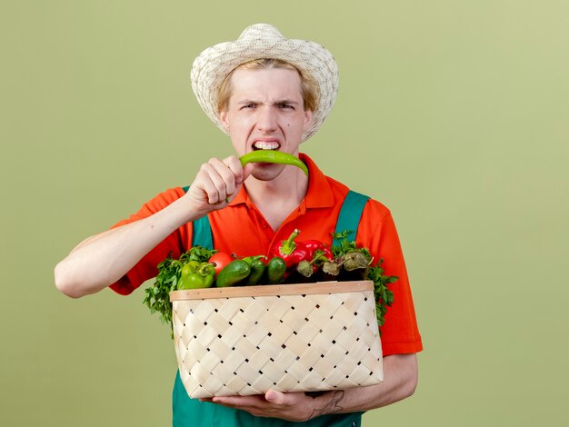 明るい背景の上に立っている緑のホットチリペッパーを噛む野菜でいっぱいの木枠を保持しているジャンプスーツと帽子を身に着けている若い庭師の男