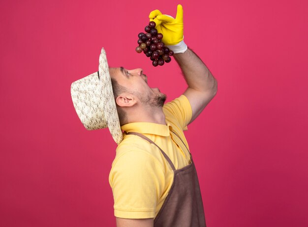 Young gardener wearing jumpsuit and hat in working gloves holding high bunch of grape over his mouth going to taste it standing over pink wall