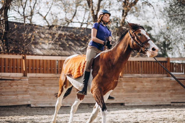 Free photo young girl teaching horse riding
