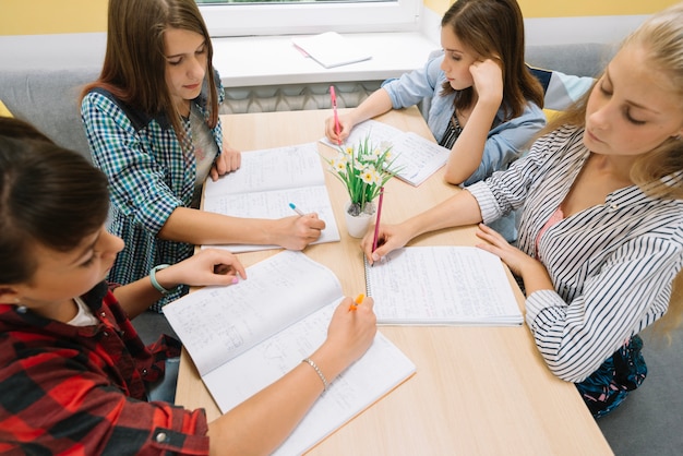 Young girls studying together in library