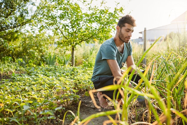 Young good looking mature caucasian male gardener in blue t-shirt and sport pants working in garden near countryside house