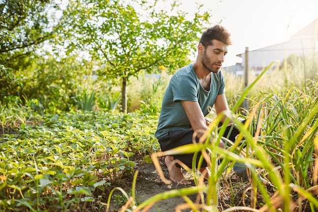 Молодой симпатичный зрелый кавказский садовник в синей футболке и спортивных штанах работает в саду возле загородного дома
